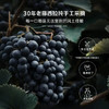 【澳大利亚原瓶进口】卡特尔宝石树Gemtree干红葡萄酒 13.5%vol干红 买2箱加送电动开瓶器！ 商品缩略图4