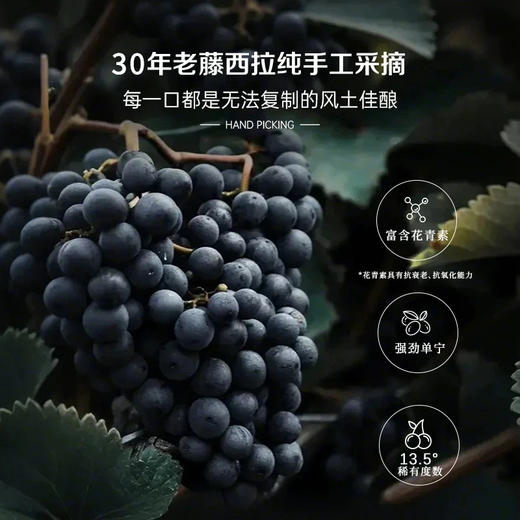 【澳大利亚原瓶进口】卡特尔宝石树Gemtree干红葡萄酒 13.5%vol干红 买2箱加送电动开瓶器！ 商品图4