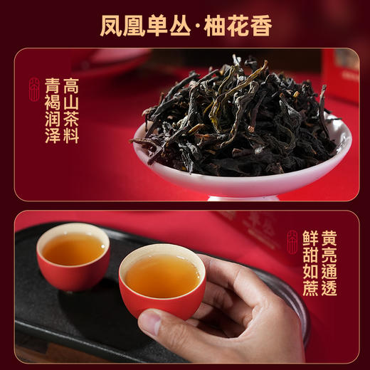华祥庄园-125g凤凰单丛柚花香罐装 商品图1