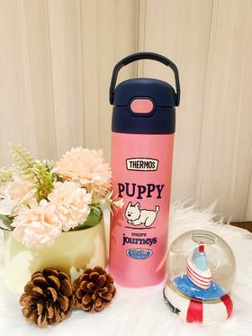 【6F】膳魔师复古系列不锈钢直饮杯500ml