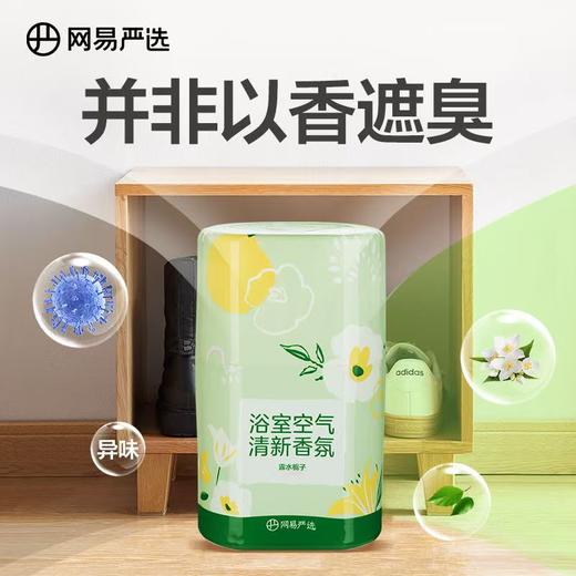 网易严选空气清新剂  室内卫生间除厕所异烟味神器持久家用香氛香薰1.38 商品图5