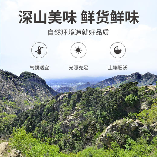 方家铺子 鹿茸菇350g/瓶装 商品图7