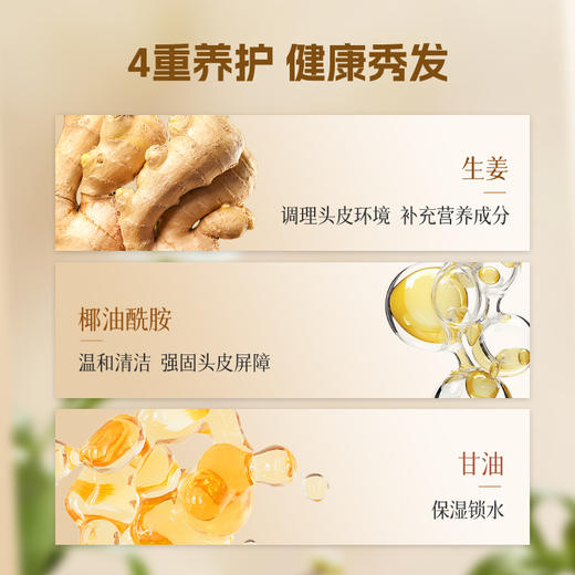 【控油去油】生姜控油经典款洗发水400ml/800ml （4号/4A） 商品图2