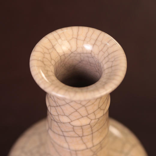 叶维德墨纹铉纹瓶 商品图1