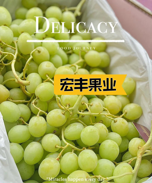 宏丰精选 进口甜地球青提  脆甜爽口  活动价23.8元一斤 商品图9