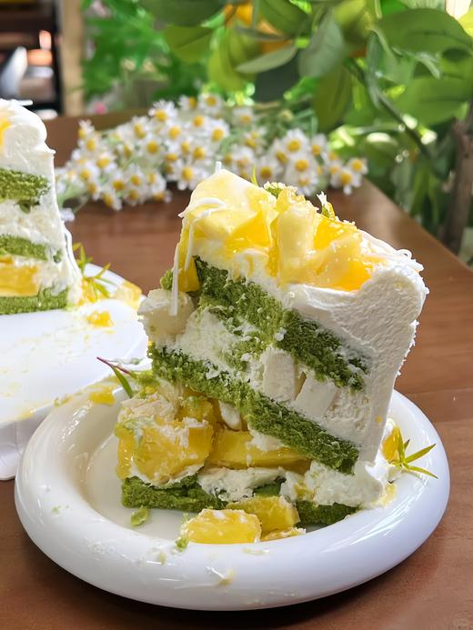 斑斓香椰凤梨 商品图2