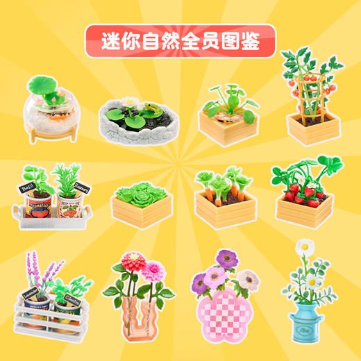 MGA Miniverse掌上宇宙工坊–迷你自然2MGAC528166EUC 商品图2