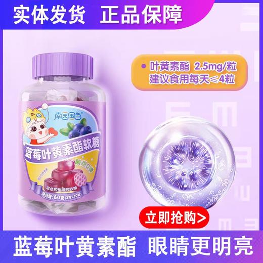 南园国色蓝莓叶黄素酯软糖 商品图6