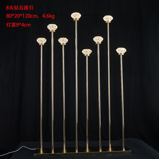 钻石路引（运费自理） 商品图1