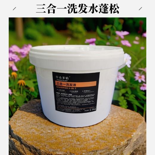 三合一洗发水大包装5斤装深层清洁头皮清爽发丝柔顺 商品图0