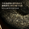 【哀牢山】哀牢山秘境深处古树茶，出场即王炸！首年开采0利润让古粉感受其魅力！性价比之巅，357克/饼 商品缩略图2