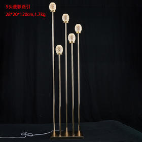 菠萝路引（运费自理）