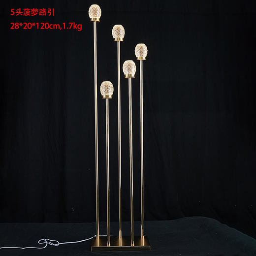 菠萝路引（运费自理） 商品图0