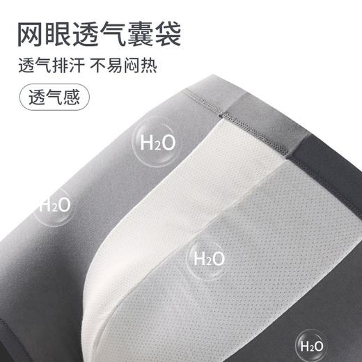 3楼 歌帝【三条礼盒装】水柔棉男平角裤 GDB82505S 商品图4