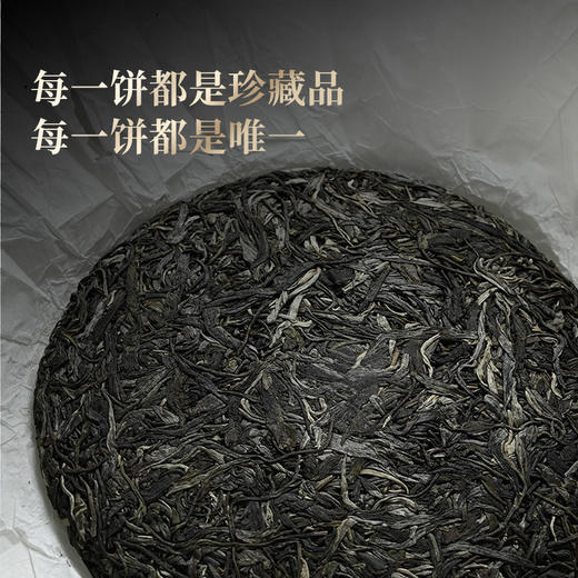 【白蛇山单株】易武弯弓原始森林顶层生态单株，稀缺超微产区，尝新快人一步；全程守株守茶，保真保纯！357克/饼 商品图5