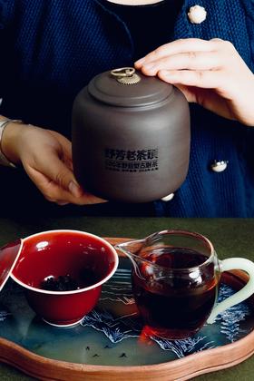 【2018野芳老茶头】翠美王牌—野芳！首款老茶头！