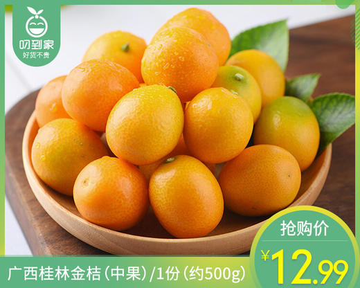 广西桂林金桔（中果）/1份（约500g） 商品图0