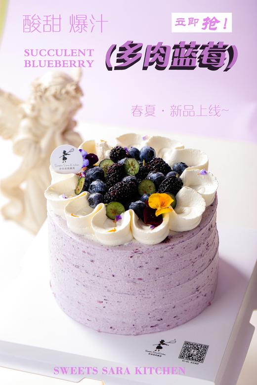 多肉蓝莓 | 沙拉拉的厨房 商品图1