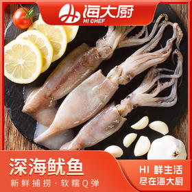 海大厨-深海鱿鱼