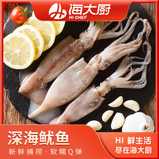 海大厨-深海鱿鱼 商品图0