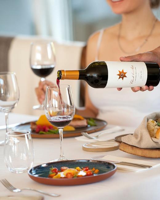 【米歇尔•罗兰】Clos de Los Siete Red 鹰格堡酒庄干红葡萄酒 商品图4