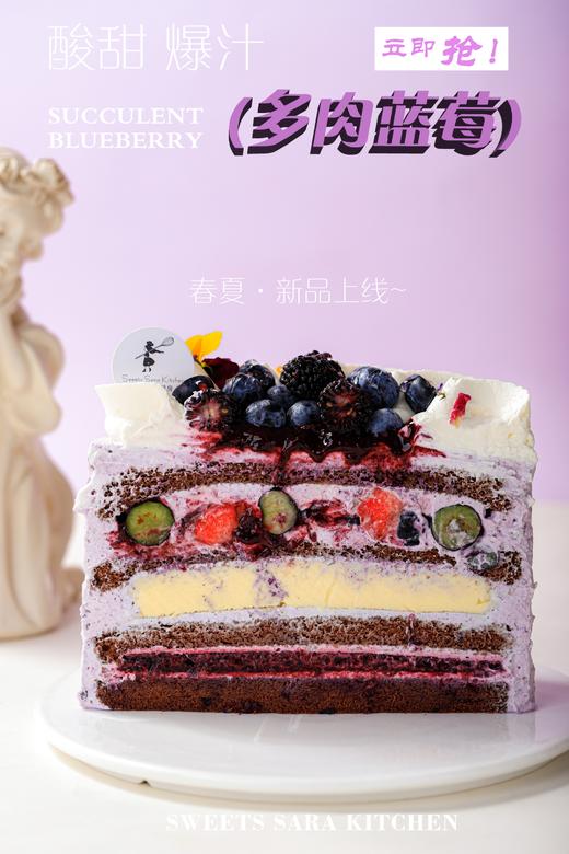 多肉蓝莓 | 沙拉拉的厨房 商品图4