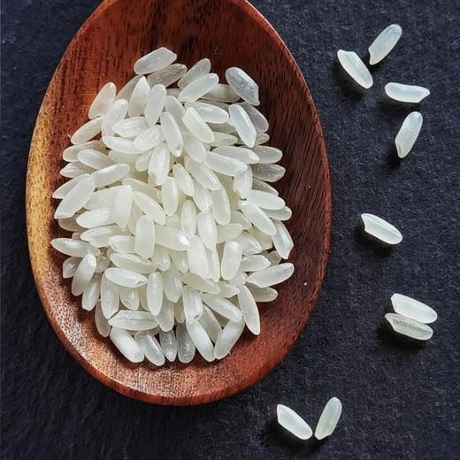 迪宾斯 五常稻花香2号 5gk*袋 弹润有嚼劲 粒粒油亮 米香浓郁醉 商品图1