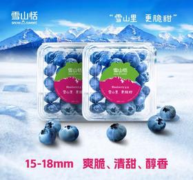 雪山恬蓝莓