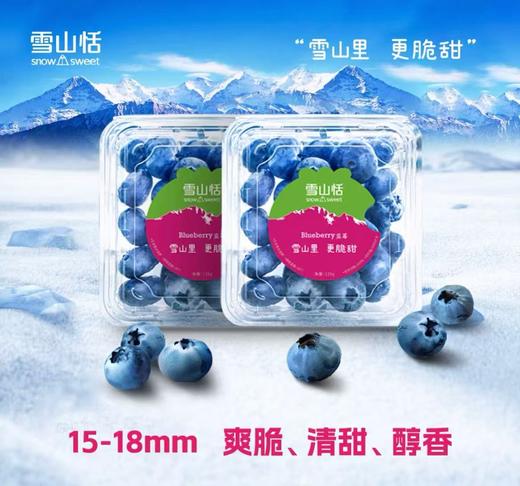 雪山恬蓝莓 商品图0