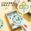 【儿童自然博物馆】小小标本师自然博物馆蝴蝶贝壳植物DIY标本制作 商品缩略图1