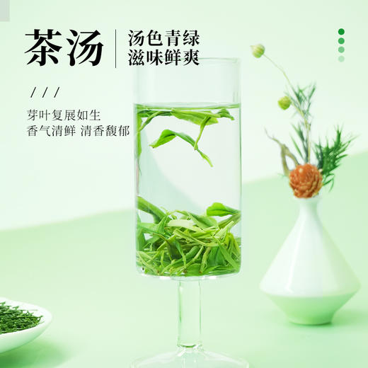 【2026新茶】恩施玉露春茶头春头采明前特级精选高山富硒绿茶50g罐装 CM 商品图2