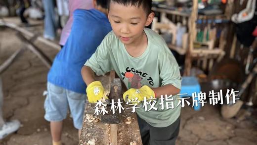 森林课程｜本月第三课——池畔叠石涵万象，童手铭意护苍丛 商品图0