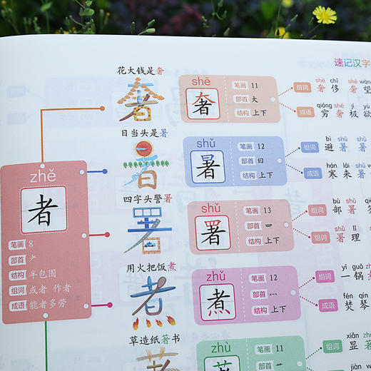 思维导图口诀速记小学汉字秒记通用识字速记汉字通用象形图画汉字书语文科目 商品图3