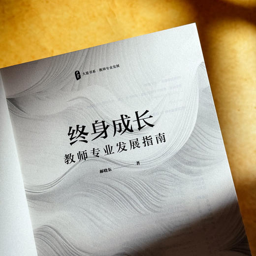终身成长 教师专业发展指南 大夏书系 郝晓东 新教育实验 商品图5