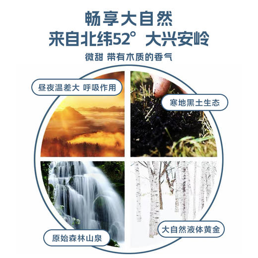 【专享】林野小铺100%NFC白桦树汁原液大兴安岭自然草本植物饮料330ml*6瓶（提手箱） 商品图2