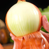 元谋黄皮洋葱 商品缩略图1