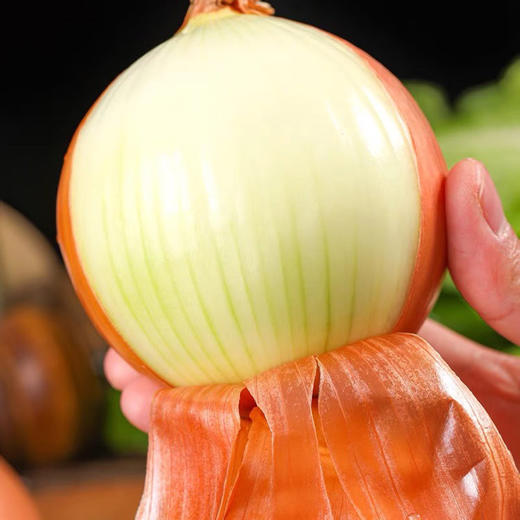 元谋黄皮洋葱 商品图1