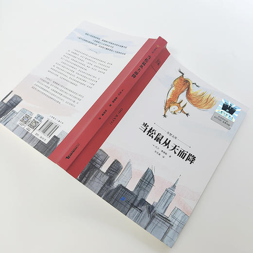 当松鼠从天而降（奇想文库平装） 商品图1