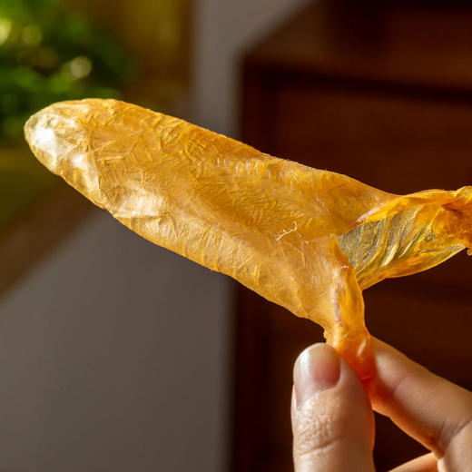 菜菜家花胶45头|日常口粮胶，口感爽滑软糯又有嚼劲 商品图3