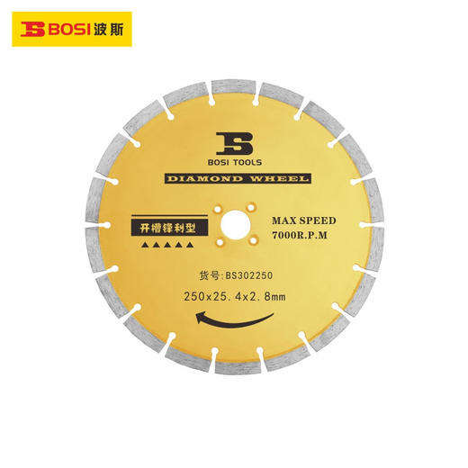 波斯  金刚石开槽片(锋利型）  250*2.8*12*25.4   BS302250 商品图0