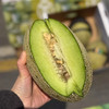 晓蜜青帝蜜瓜🍈 商品缩略图1