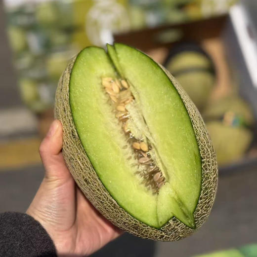 晓蜜青帝蜜瓜🍈 商品图1