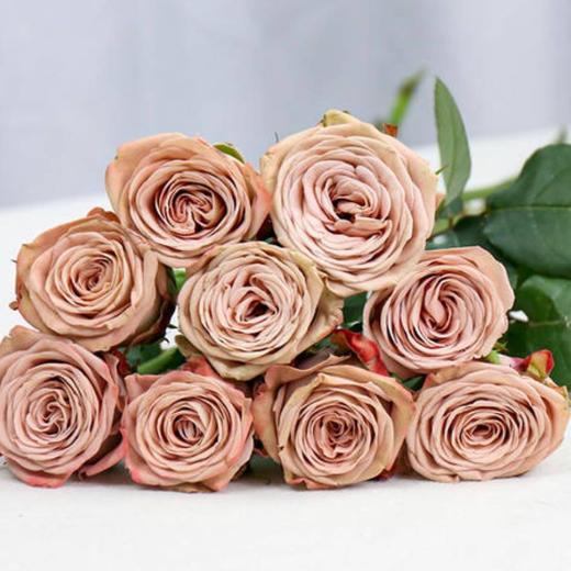 新鲜鲜花 卡布奇诺鲜切花 1扎 （18枝左右）可备注送货时间 商品图0