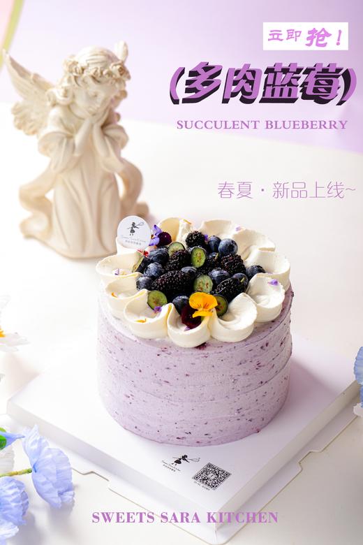 多肉蓝莓 | 沙拉拉的厨房 商品图5