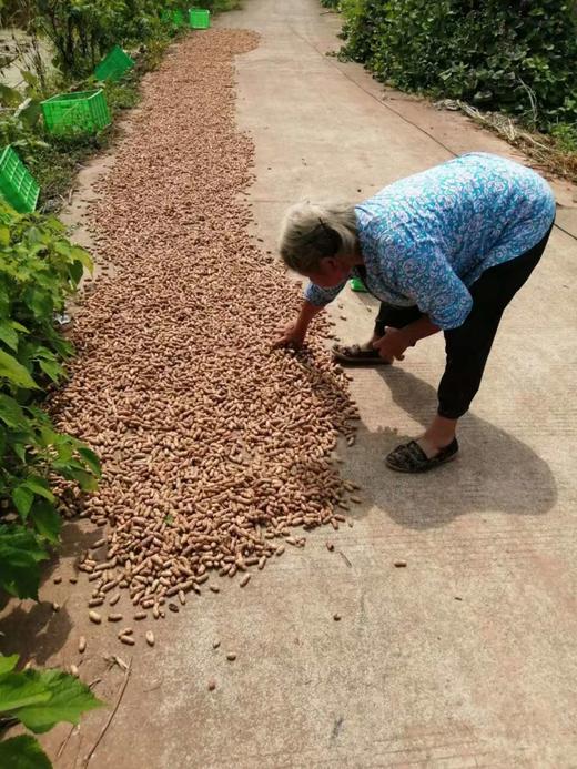 散装～柴火炒本味土花生 、带壳生花生// 永继农场 商品图7