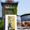 《南大猫先生》    南大“鼓楼猫”“仙林猫”大汇集 “猫粉”们随时“吸猫”的陪伴型“口袋书” 商品缩略图6