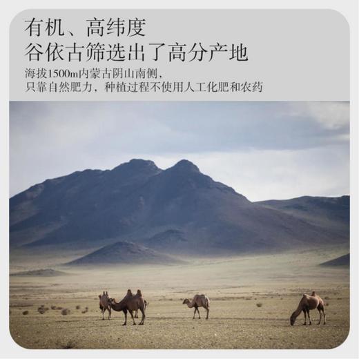 谷依古有机亚麻籽粉 商品图6