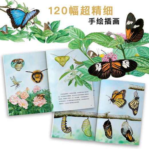 昆虫的奋斗（套装共3册） 商品图3