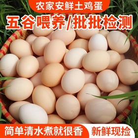 【密农特色 必买榜单】农家安鲜柴鸡蛋 土鸡蛋  纯粮喂养0激素 30枚/60枚 包邮装