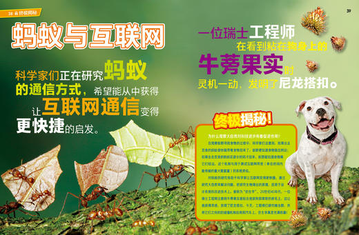 《美国国家地理·环球终极探索》（全10册） 商品图8